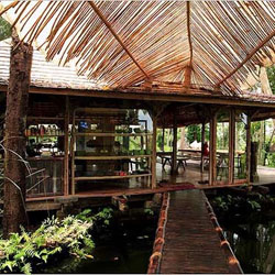 Desain Interior Taman on Desain Pergola Alami Di Taman Bali   Kumpulan Artikel   Tips