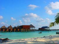 Hilton - Maldives